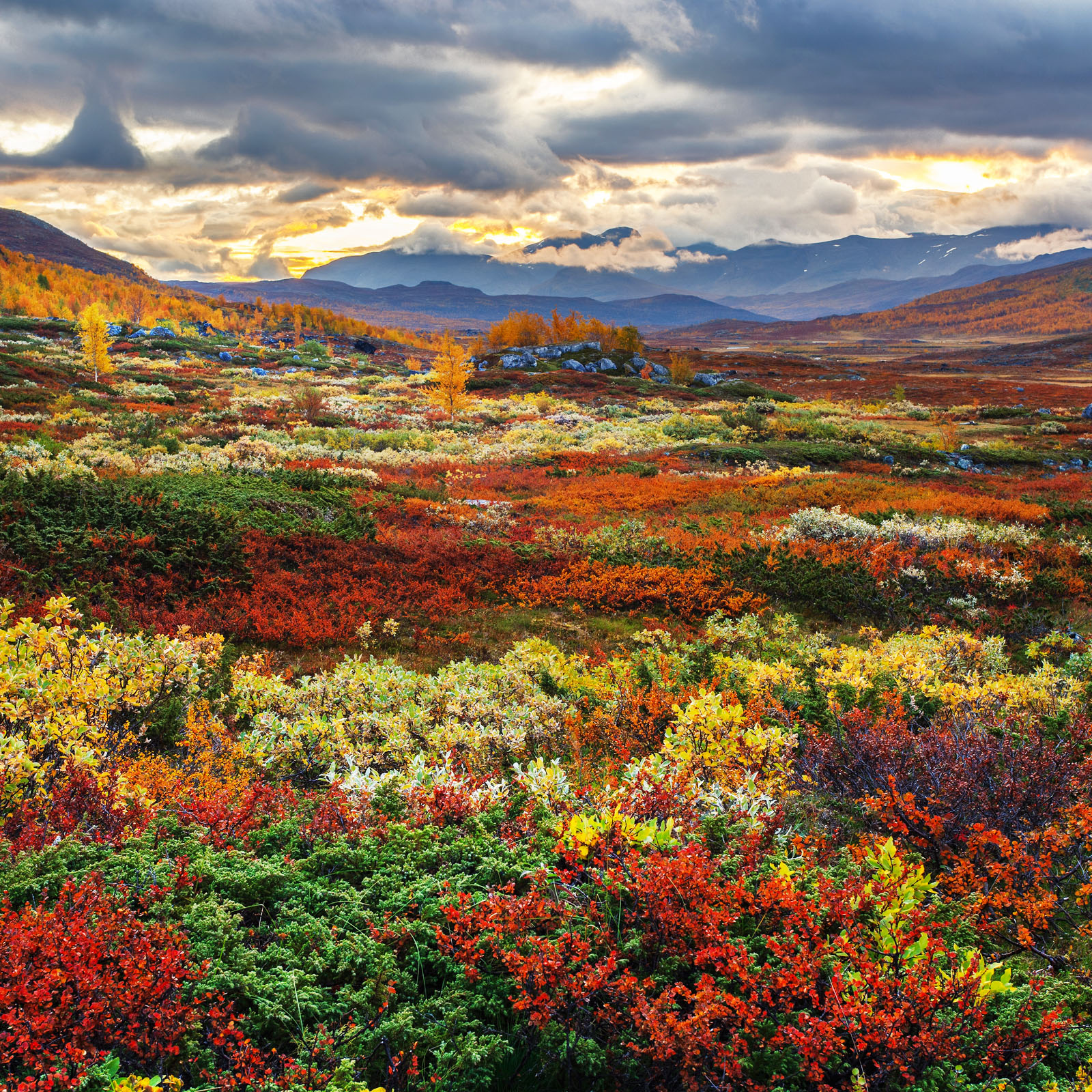 are changing in the Swedish mountains
