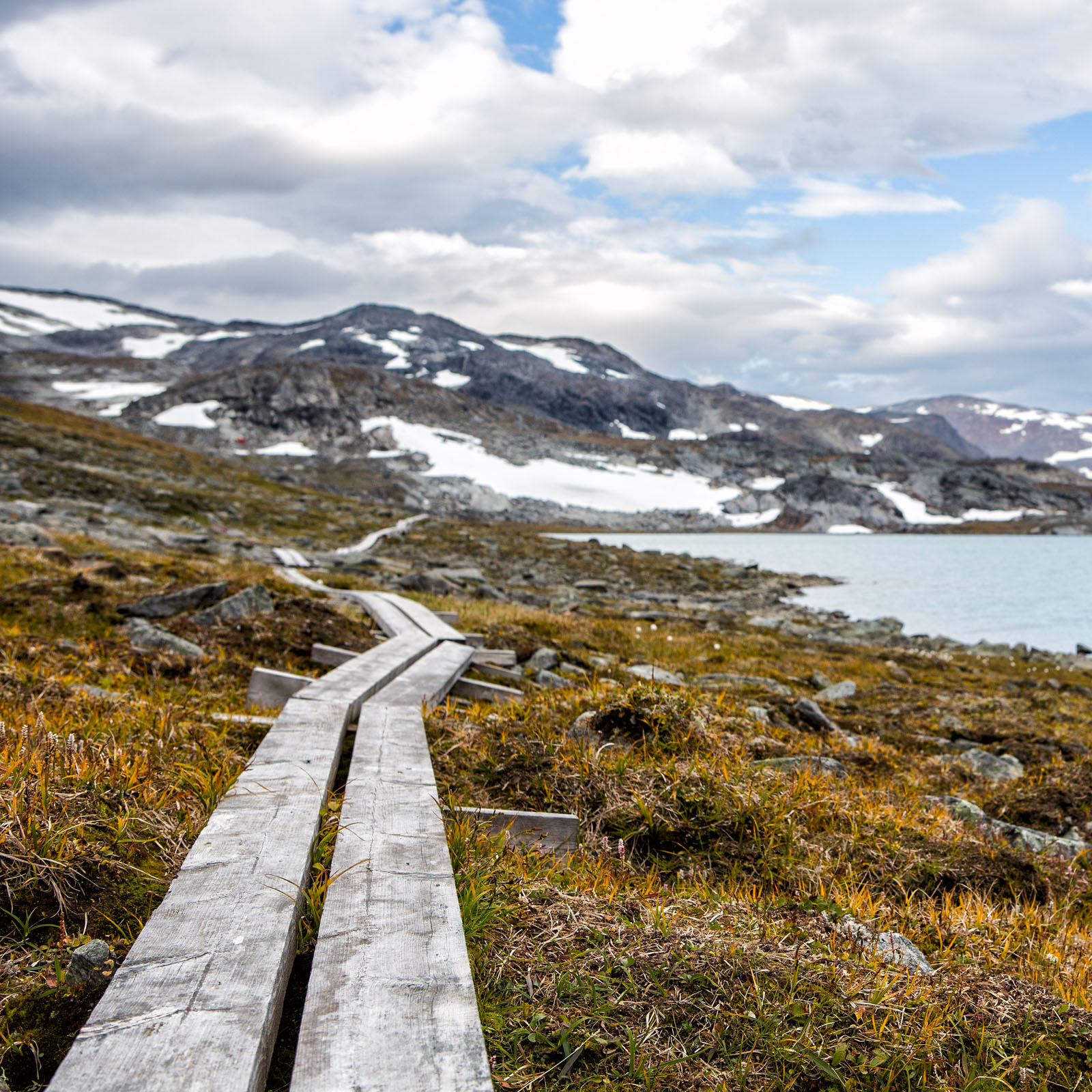 Cold hiking day in the north of Sweden.